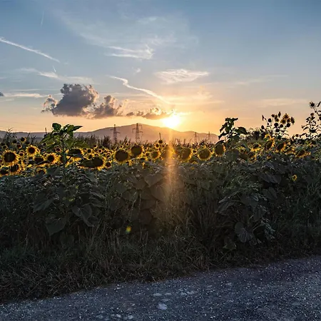 Amazing In With Wifi