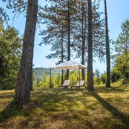 Apartment Amazing In With Wifi *